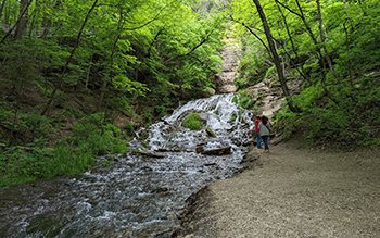 Two people approach a waterfall surrounded by green trees.